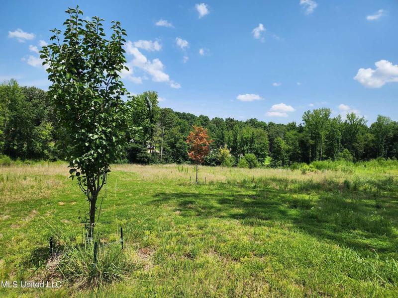 4710 Dixie Lynn Drive, Southaven, MS 38671  620581437 for Sale
