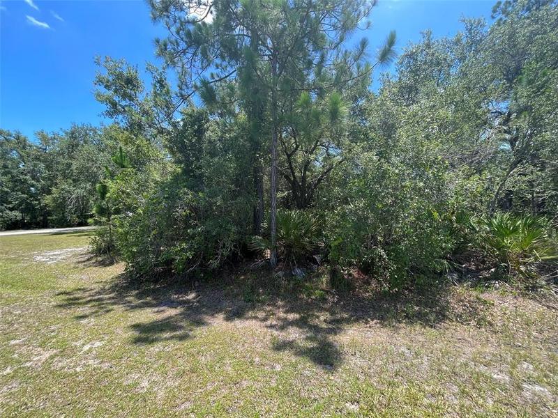 Park Avenue, Lake Wales, FL 33898 for Sale