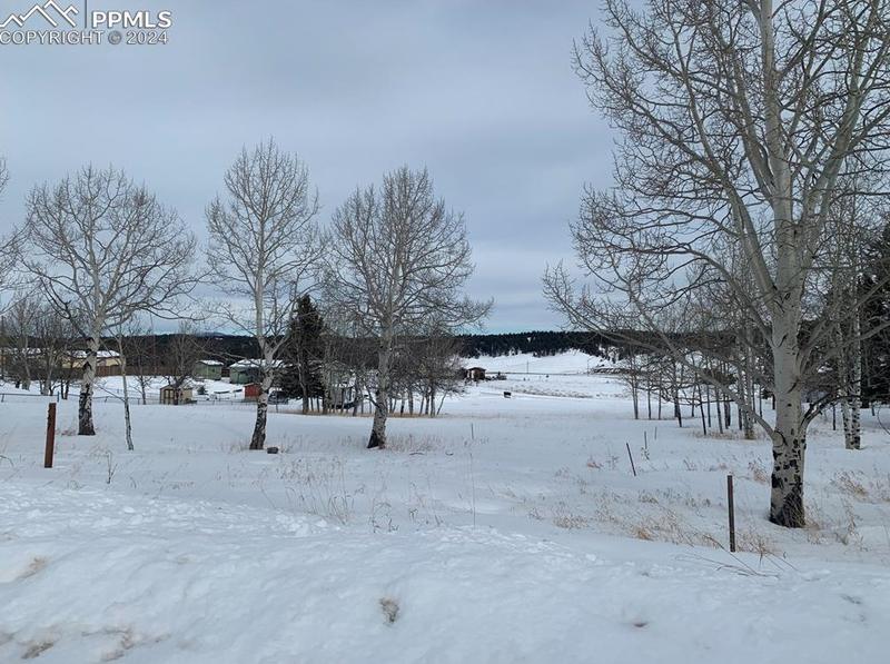 247 Will Scarlet Dr, Divide, CO 80814 - MLS 5854228 for Sale