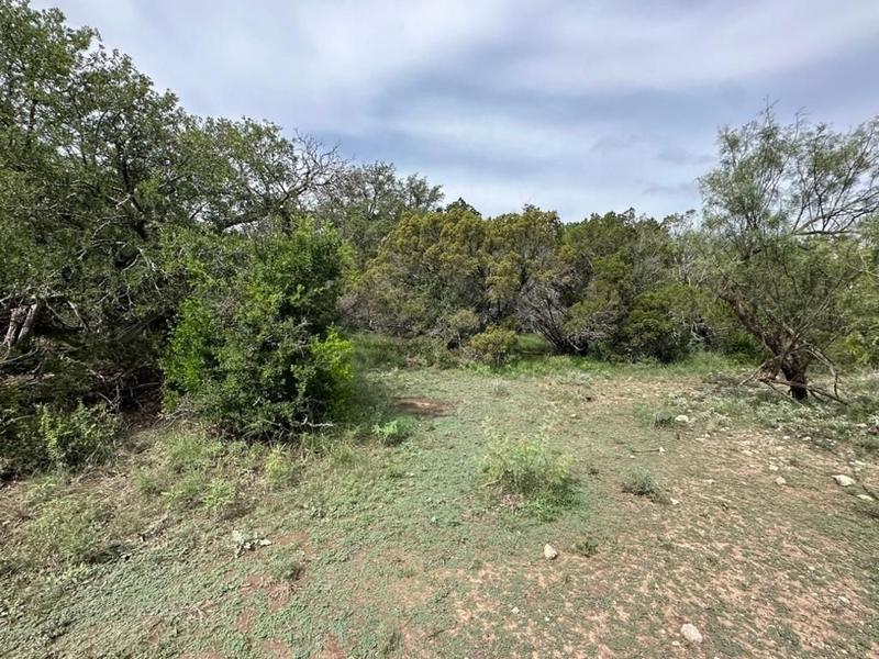 Ozona, Crockett County, TX Farms and Ranches, Recreational Property, Hunting Property for sale Property ID: 418689345