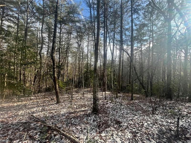 0 ARP ROAD, Mineral Bluff, GA 30559 Land For Sale  MLS# 7336971