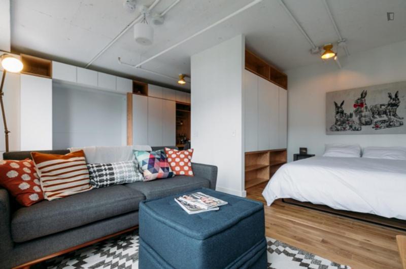 Tasteful studio in near the Crystal City subway for Rent