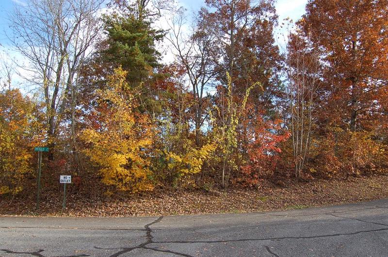 Lot 41 Dan Knob Hayesville Nc 28804, Hayesville, NC 28904 for Sale