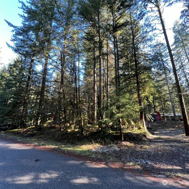 7490 GLACIER SPRINGS DR, Deming, WA 98244 Land For Sale  MLS# 2199620 for Rent