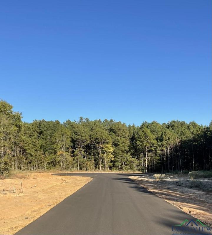 Tbd Lot 21 STONEBROOK CT, New Diana, TX 75640 for Sale