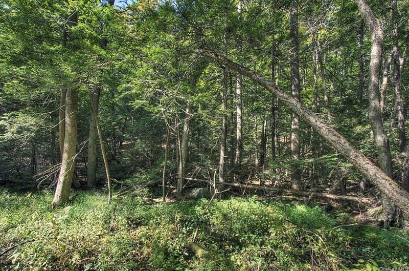 42 Buttermilk Falls Rd, Warwick, NY 10990 - MLS H6271171 for Sale