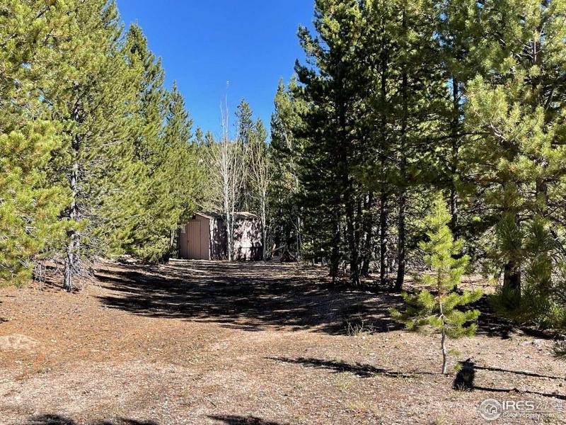 497 Mescalero Dr, Red Feather Lakes, CO 80545  625116727 for Sale