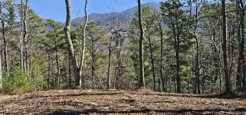 00 Lower Smithfield Road, Tellico Plains, TN 37385  614331122 for Sale
