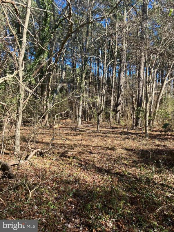LOT 11 DAVIS RD, MARION STATION, MD 21838 Land For Sale  MLS# MDSO2004086 for Rent