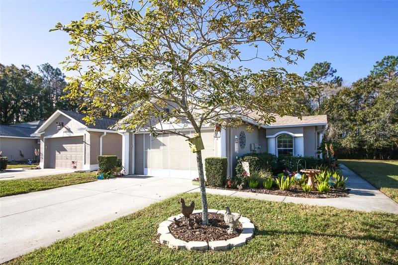 11623 Foxworth Lane, New Port Richey, FL 34654 for Sale