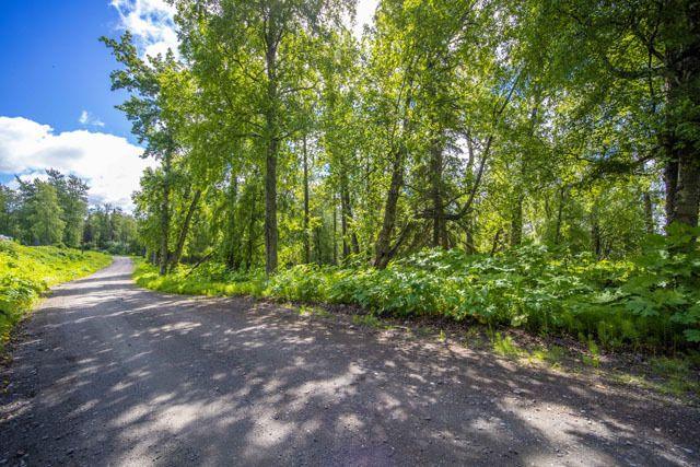 Nikiski, Kenai Peninsula Borough, AK Undeveloped Land, Homesites for sale Property ID: 418731052