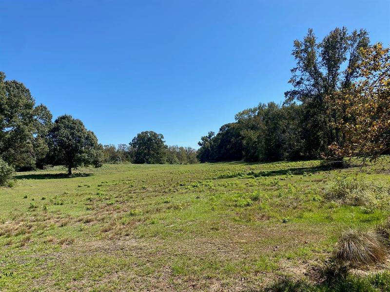 TBD 011 County Rd 242, Oakwood, TX 75855 for Sale