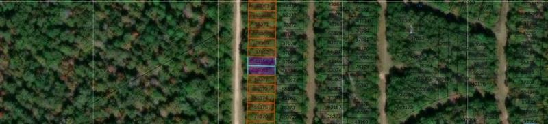 TBD Pineneedle, Livingston, TX 77351 for Sale