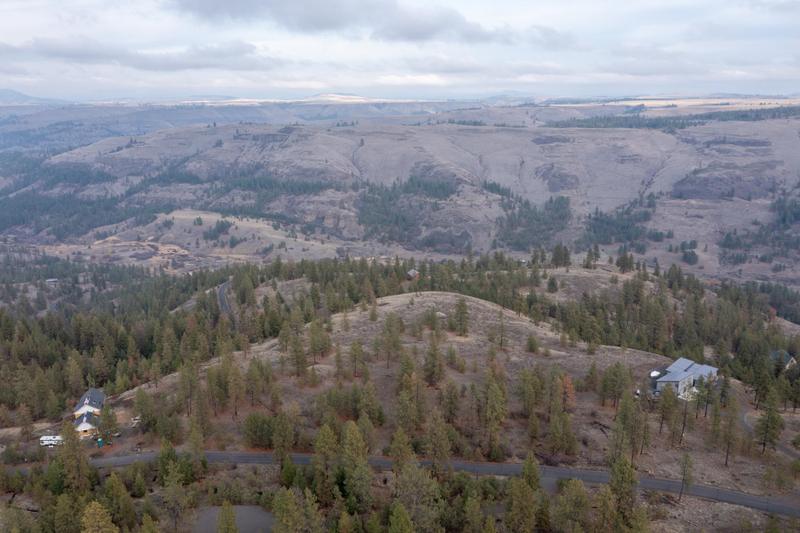 34740 Partridge Lane, Davenport, WA 99122 for Sale