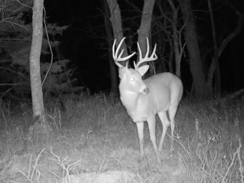 Emporia, Lyon County, KS Farms and Ranches, Recreational Property, Hunting Property for auction Property ID: 418778185 for Sale