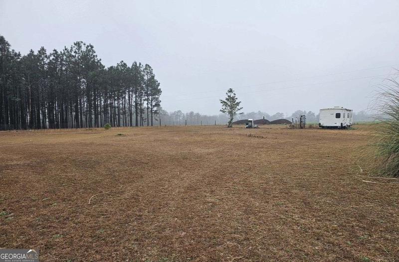 Axson, Atkinson County, GA Undeveloped Land, Homesites for sale Property ID: 418916785