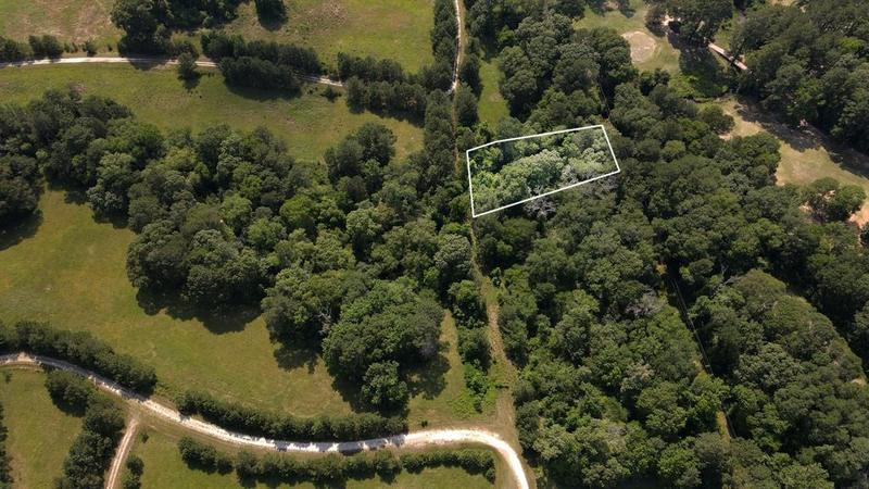 TBD Laura St, Trinity, TX 75862 for Sale