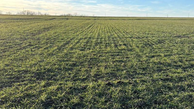 Emporia, Lyon County, KS Farms and Ranches for auction Property ID: 418778324 for Sale