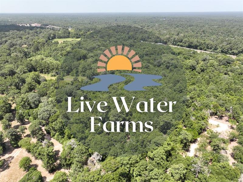 3 Lake Pool Road, Shepherd, TX 77371 for Sale