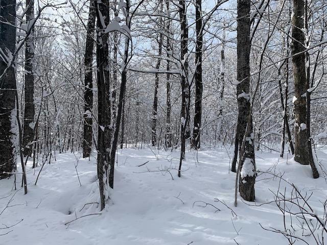3I WESTOVER RD, Jay, VT 05859 Land For Sale  MLS# 4979725