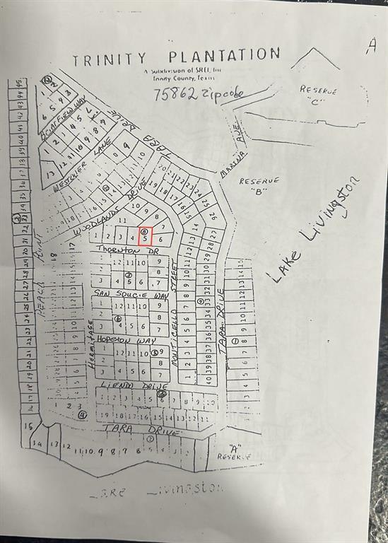 Lot 5 Thornton St, Trinity, TX 75862 for Sale