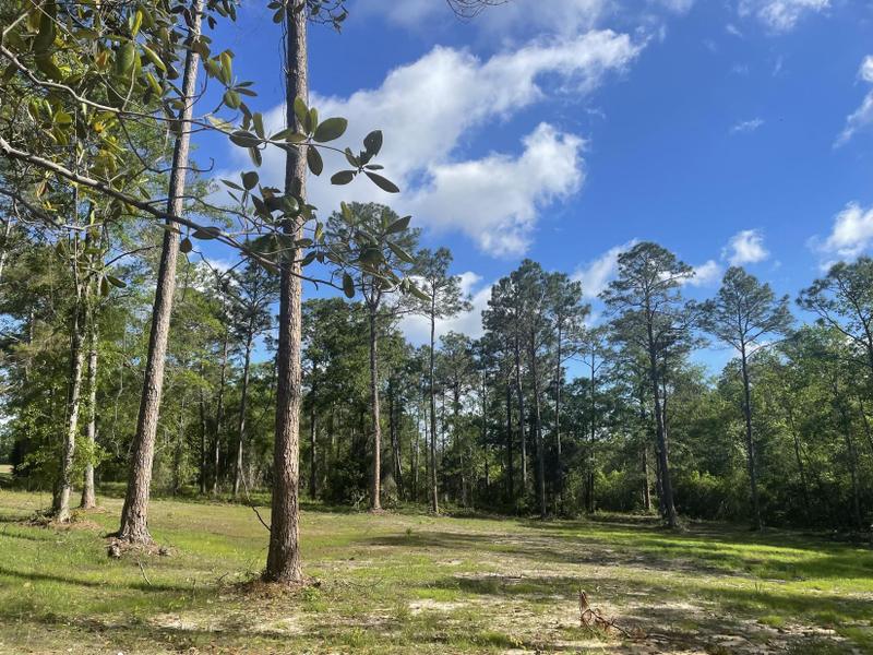 Defuniak Springs, Walton County, FL Undeveloped Land, Homesites for sale Property ID: 418660922