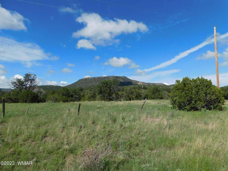 24 & 26 COUNTY ROAD 4128, Eagar, AZ 85925  614135540 for Sale