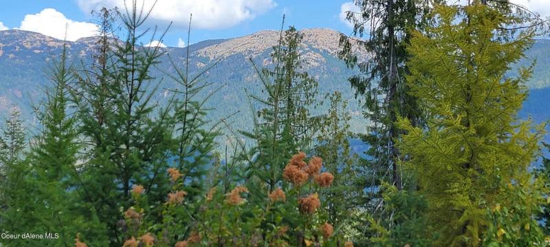 NNA ENCHANTED LANE TRACT 5, Moyie Springs, ID 83845 Land For Sale  MLS# 24-112