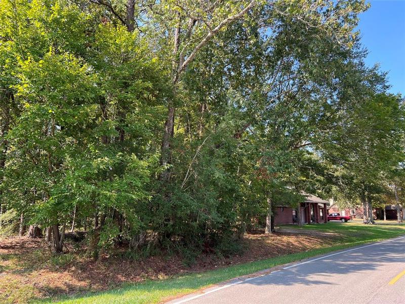 18334 Steele Point Dr, Crosby, TX 77532 for Sale