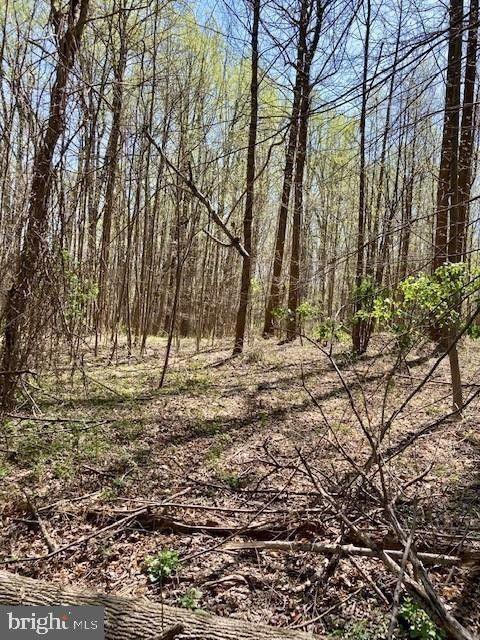 Sandy Spring, Montgomery County, MD Undeveloped Land, Homesites for sale Property ID: 418665968