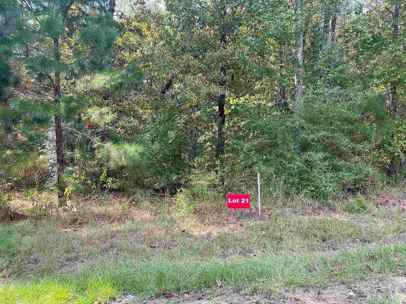 Tbd Lot 21 CR 2204 D & FM 1797, Tatum, TX 75691 for Sale
