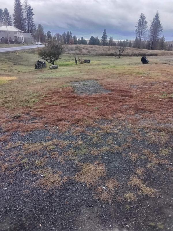 313 Northeast Broadway Street, Malden, WA 99149 for Sale