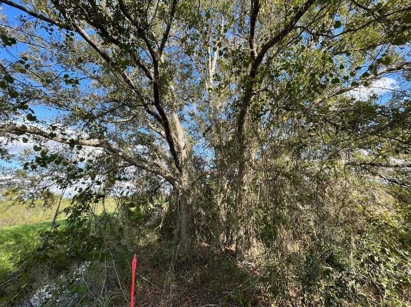 19938 NW 278th St, Okeechobee, FL 34972 - MLS RX-10938004 for Sale
