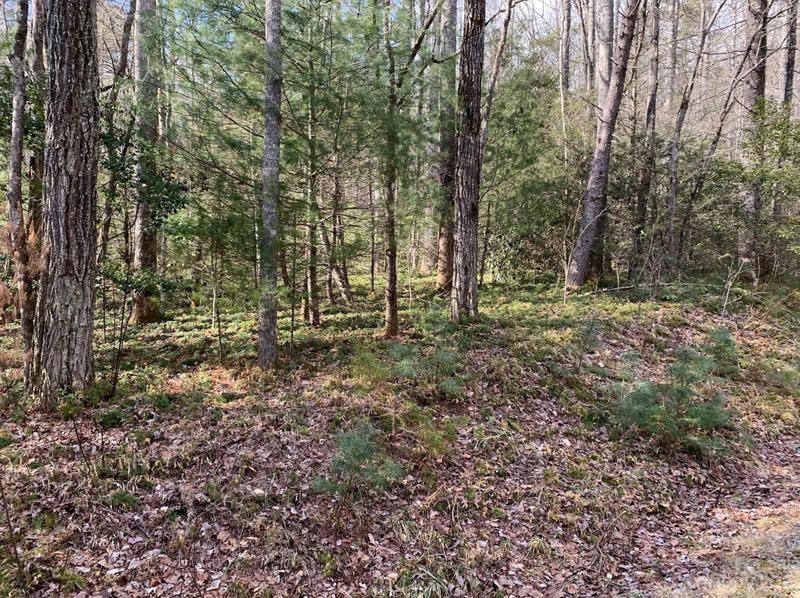 126 Green Hollow Ln, Brevard, NC 28712 - MLS 4069802 for Sale