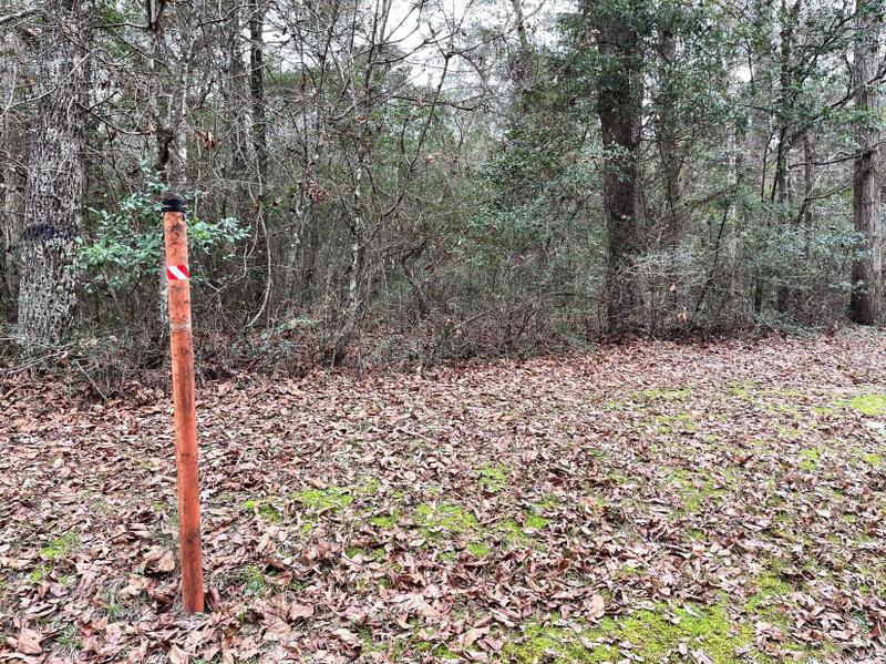 Cleveland, Liberty County, TX Recreational Property, Undeveloped Land, Homesites for sale Property ID: 418627310