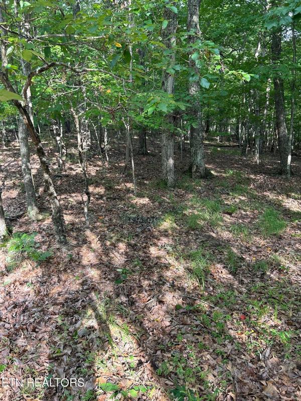 Fairfield Glade, Cumberland County, TN Undeveloped Land, Homesites for sale Property ID: 418520112