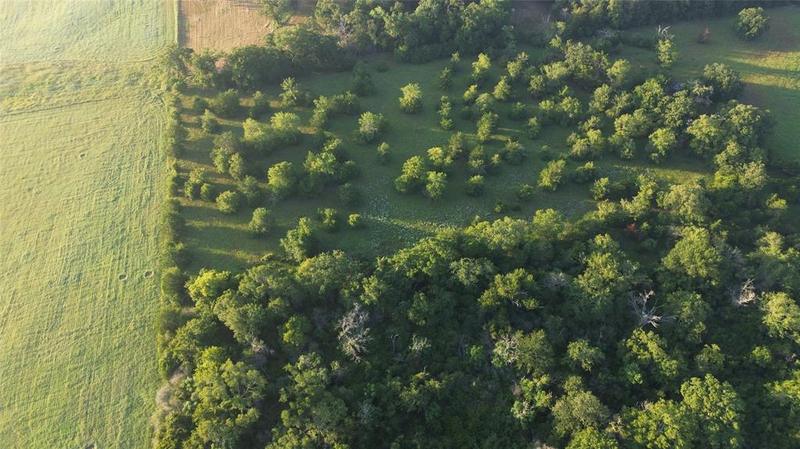 TBD FERRILL CREEK, Bryan, TX 77808 for Sale