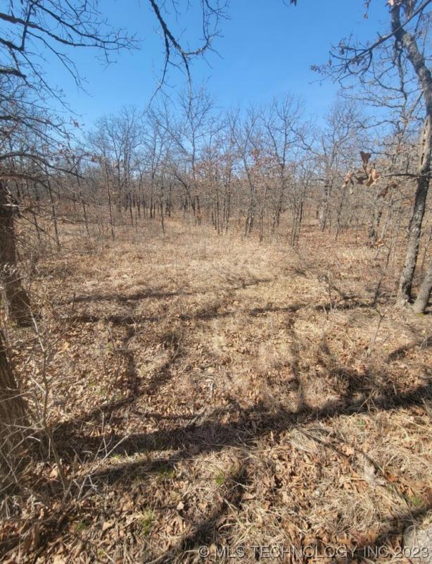 938 DOZER MTN, Eufaula, OK 74432 Single Family Residence For Sale  MLS# 2341901