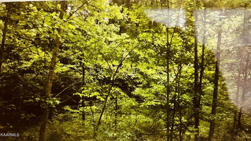 Sevierville, Sevier County, TN Undeveloped Land, Homesites for sale Property ID: 418899550