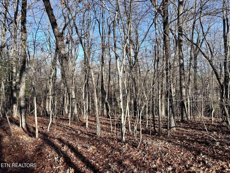 Crossville, Cumberland County, TN Homesites for sale Property ID: 418823190
