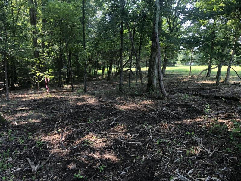 0 MURPHY HOLLOW ROAD TRACT 4, Vanleer, TN 37181 Land For Sale  MLS# 2616949