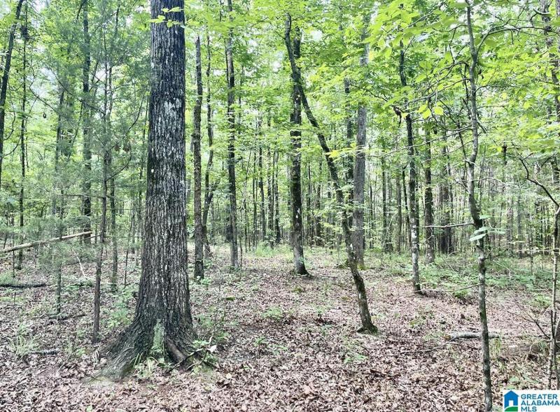 009 HIGHWAY 5 # 13, WEST BLOCTON, AL 35184 Land For Sale  MLS# 21375347
