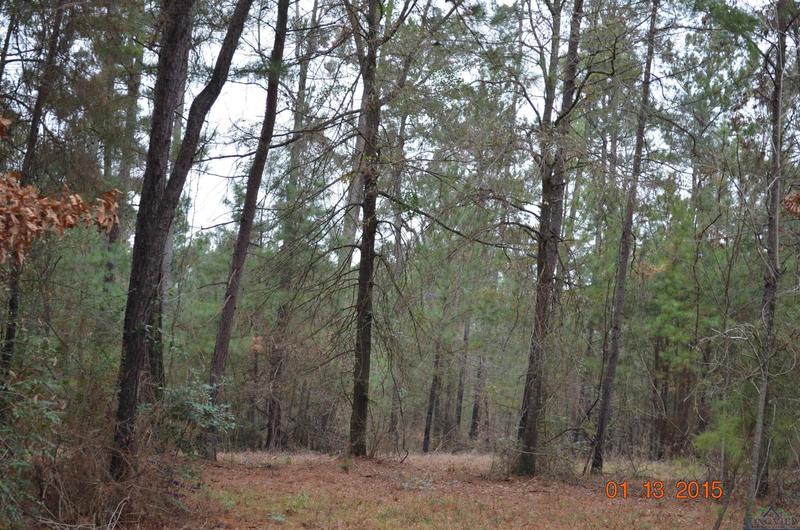 Lot 5 John Dean Road, Gilmer, TX 75644 for Sale