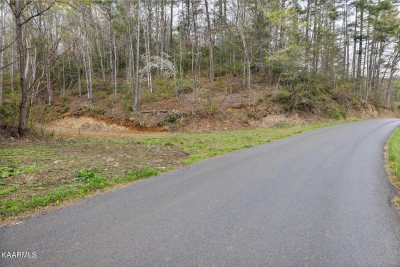 Sevierville, Sevier County, TN Undeveloped Land for sale Property ID: 418899862