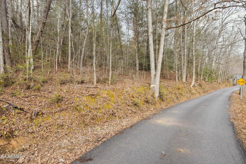 Gatlinburg, Sevier County, TN Undeveloped Land, Homesites for sale Property ID: 418899861