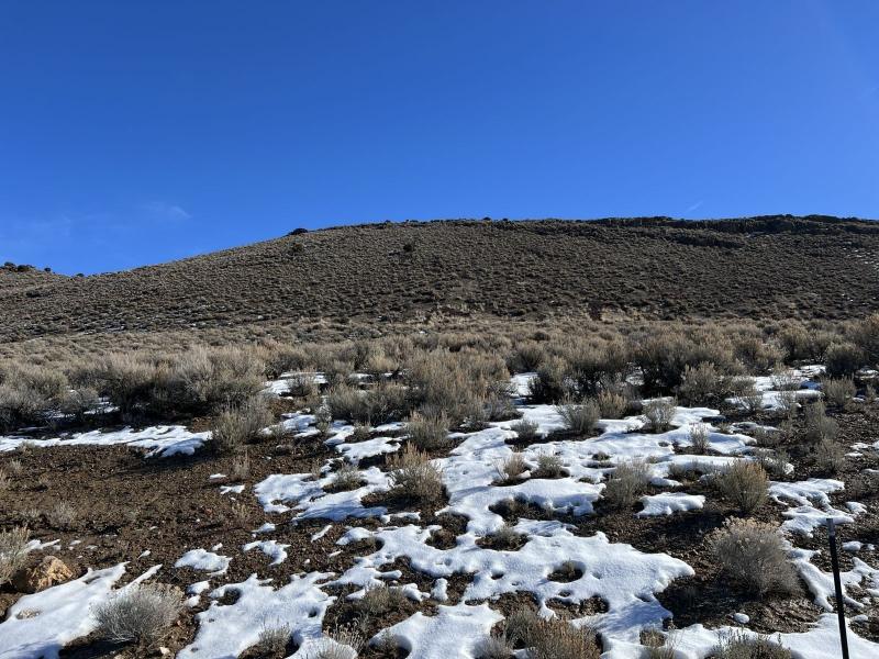 Elko, Elko County, NV Undeveloped Land, Homesites for sale Property ID: 418760712
