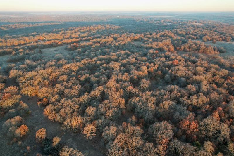 Pawhuska, Osage County, OK Recreational Property, Undeveloped Land, Homesites for sale Property ID: 418787015