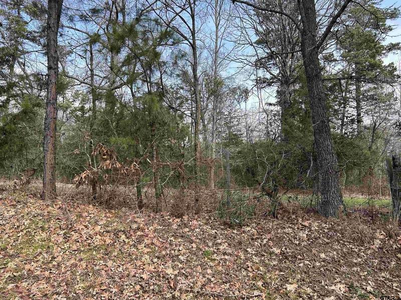 TBD County Road 482, Mt Enterprise, TX 75681 for Sale