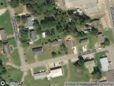Camellia St for Sale