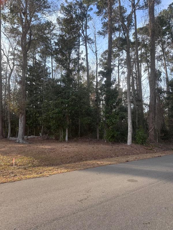 0 North Lloyd North Street, Burgaw, NC 28425 for Sale